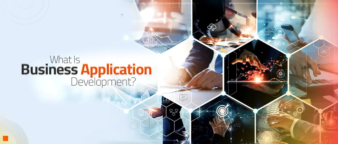 Business Application Development | ERP | CRM